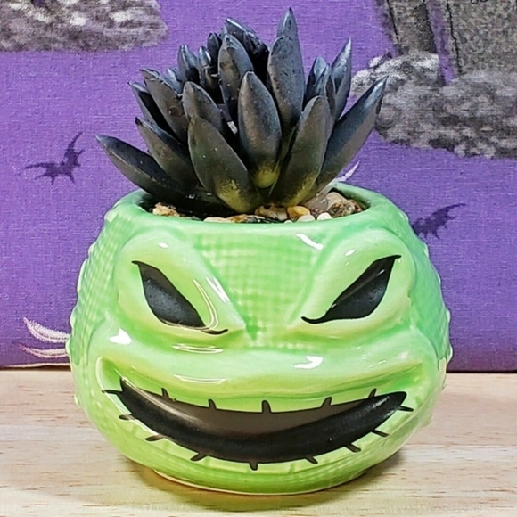 Disney Nightmare Before Christmas Oogie Boogie 3.75" Mini Succulent Plant New - Picture 1 of 8